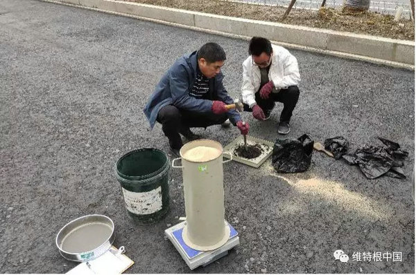 1576824587506193.jpg 640.webp (7).jpg